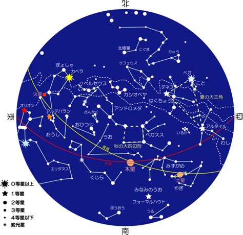 11月25日 星座